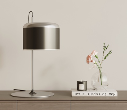  现代意式台灯 床头台灯 金属台灯su模型 