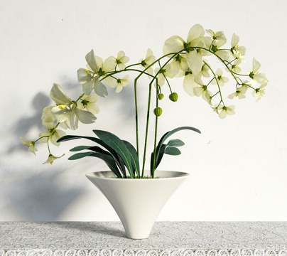  现代植物盆栽3d模型 