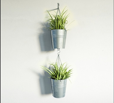  现代 植物盆栽3d模型 