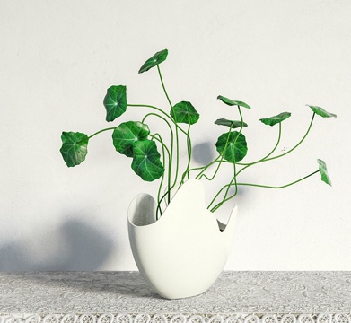  现代植物盆栽3d模型 