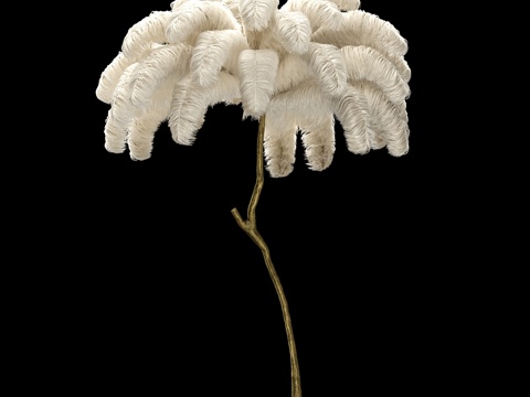  鸵鸟羽毛构筑的景致3d模型 