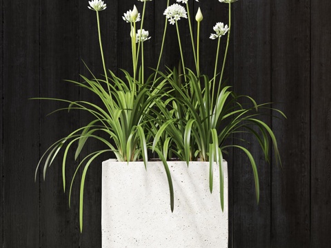  现代植物盆栽3d模型 