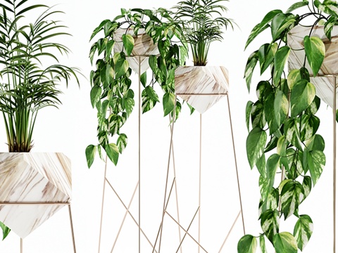  植物集锦140 玉石3d模型 