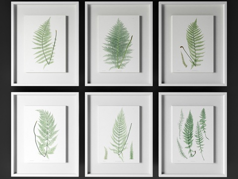  Johnrichard - 古董叶枝3d模型 