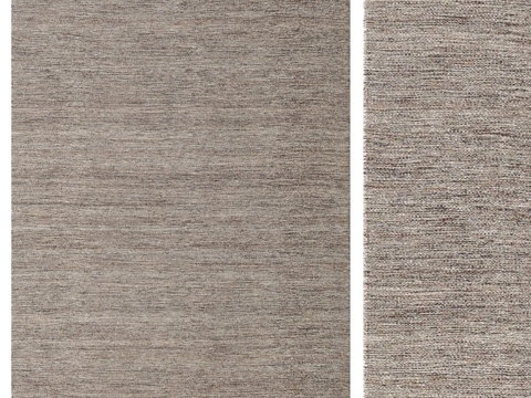  Carpet CarpetVista 混色棕 CVD16513d模型 