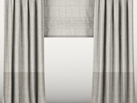  双色调棕色窗帘配罗马帘3d模型 