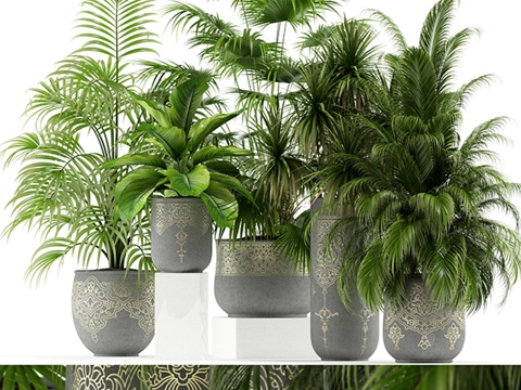  植物收藏147 手工陶盆 东方风3d模型 