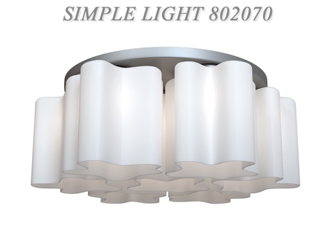  天花板吊灯 SIMPLE LIGHT 8020703d模型 