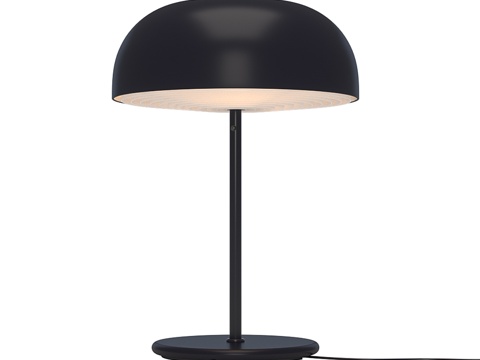  宜家NYMANE台灯 炭灰色3d模型 