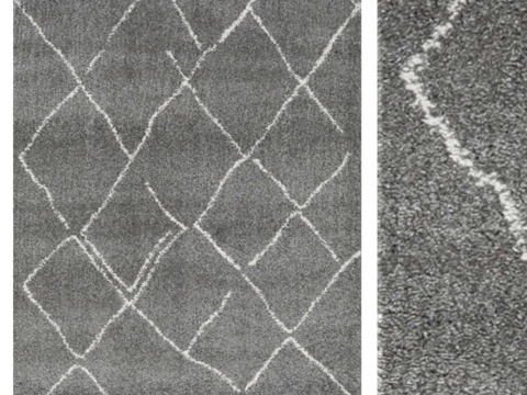  Carpet CarpetVista 毛绒阿加迪尔 - 灰白3d模型 