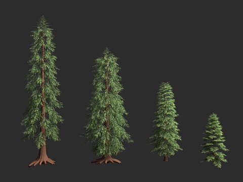  墙柏 美西侧柏 西部侧柏 大侧柏 美桧 北美红桧 香杉 西洋3d模型 