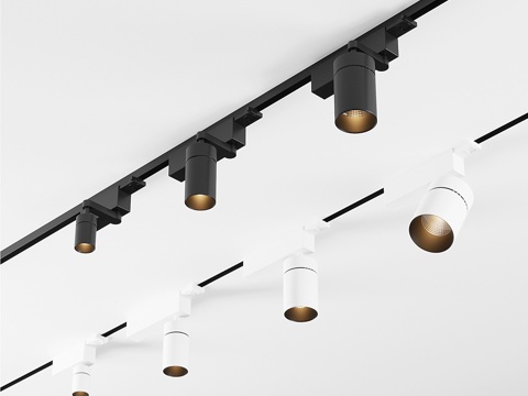  Reggiani Yori Slot and Evo Box3d模型 