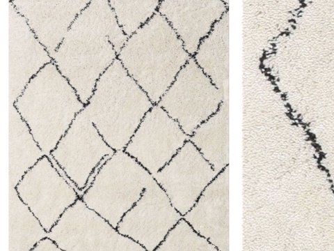  Carpet CarpetVista 毛绒阿加迪尔 - 灰白3d模型 