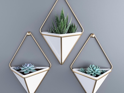  悬挂盆栽多肉植物 Umbra Trigg3d模型 