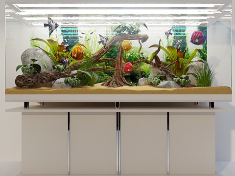  热带鱼缸 Tropiki3d模型 