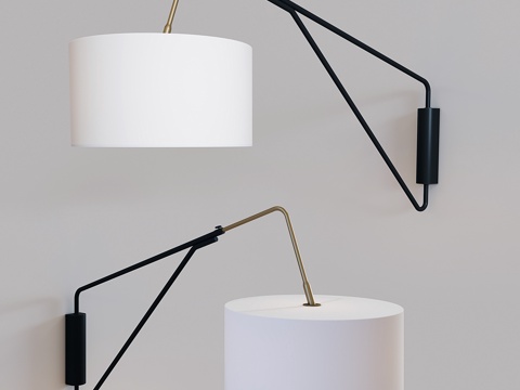  WEST ELM 中世纪壁灯3d模型 