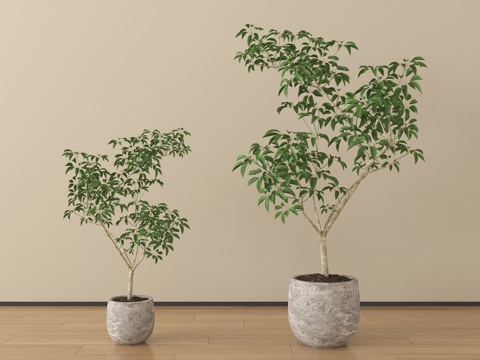  现代植物 盆栽 绿植3d模型 