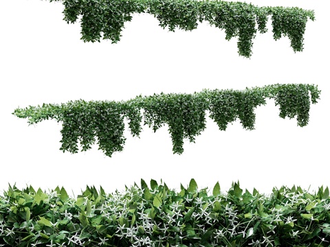  蔓生植物 - 葛藤 - 8件模块化组件3d模型 