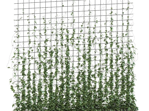  藤架常春藤 v23d模型 