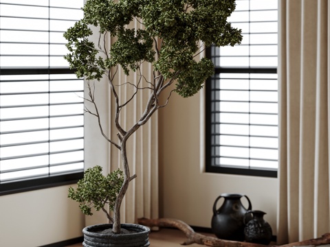  中古风盆栽盆景 植物 绿植 花盆su模型 