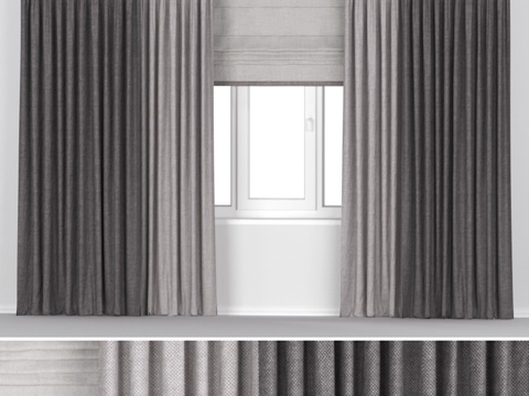  双色棕色厚重宽幅窗帘+罗马帘3d模型 