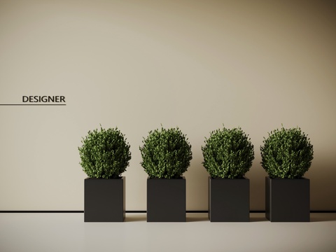  现代绿植 盆栽 植物su模型 