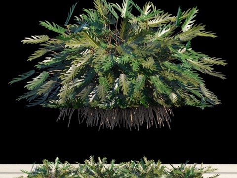  喜林芋仙纳都户外套装3d模型 