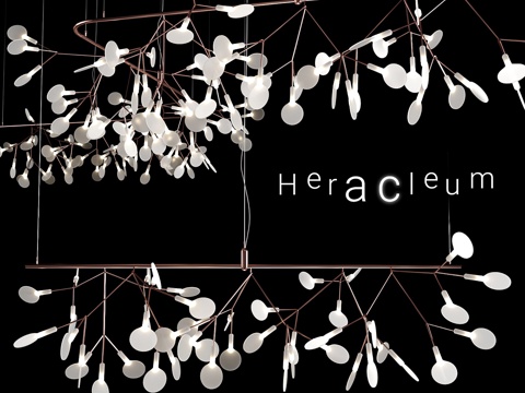  Moooi Heracleum Endless铜制吊灯3d模型 