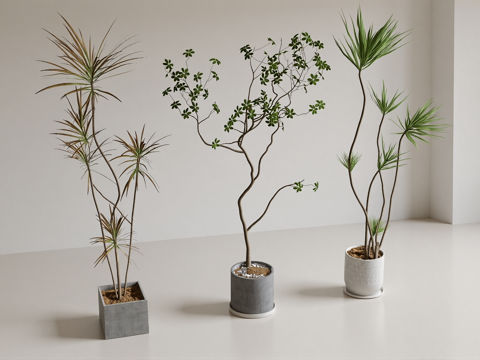  绿植盆栽su模型 