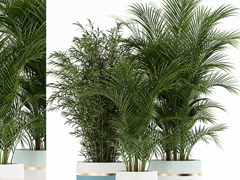  植物系列1363d模型 