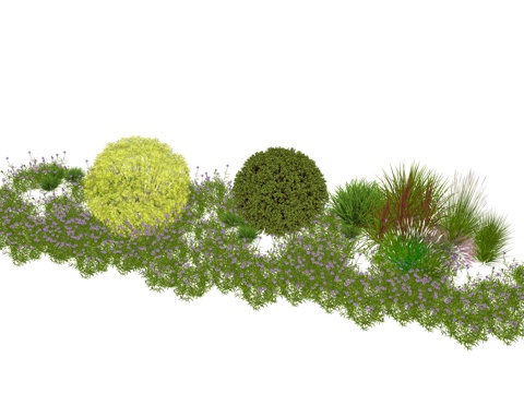  景观绿植植物组合su模型 