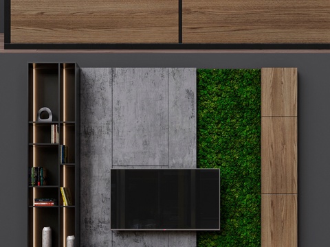  电视区域143d模型 