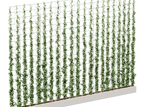  藤架常春藤3d模型 