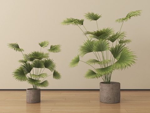  现代植物 盆栽 绿植su模型 