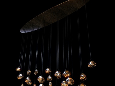  赭石水母花曲线吊灯，水母花椭圆26滴吊灯3d模型 