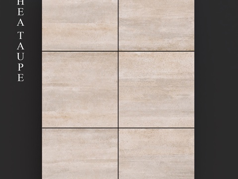  菲奥蕾蕾亚灰褐色3d模型 