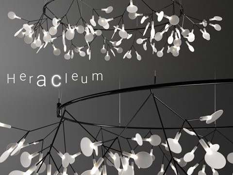  Moooi Heracleum Big O Small BL3d模型 