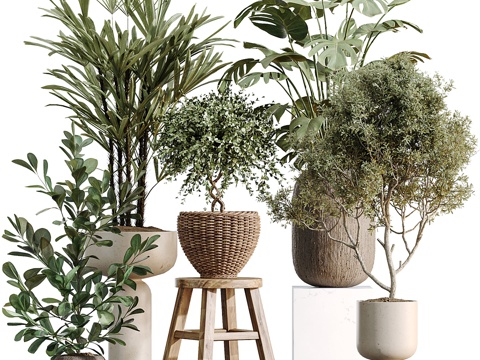  新中式侘寂室内绿植盆栽3d模型3d模型 