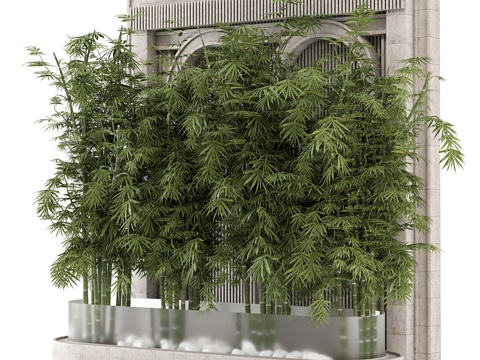  新中式竹 景观绿植3d模型 