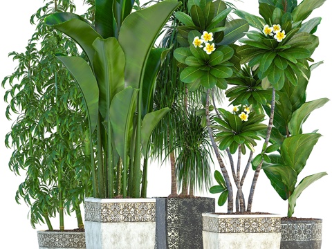  植物集锦251. 园艺植物，经典花卉3d模型 