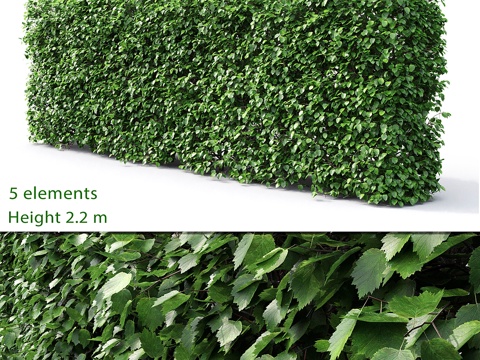  山楂树篱笆 (2.2米)3d模型 