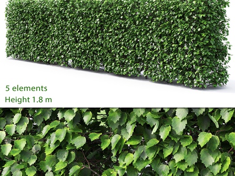  山楂树篱 #2 (1.8米)3d模型 