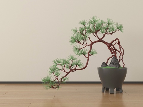  中式罗汉松 盆景植物 绿植盆栽su模型 