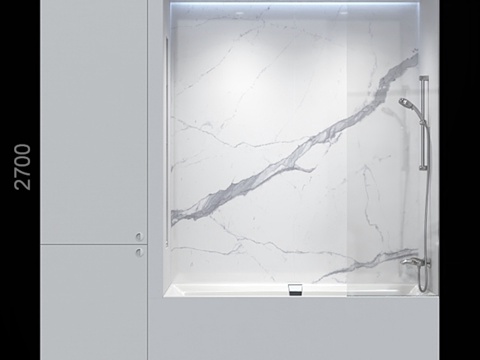  带壁橱的白色浴室3d模型 