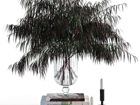  Agonis与烛台3d模型 