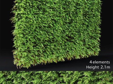  金钟柏篱笆3d模型 