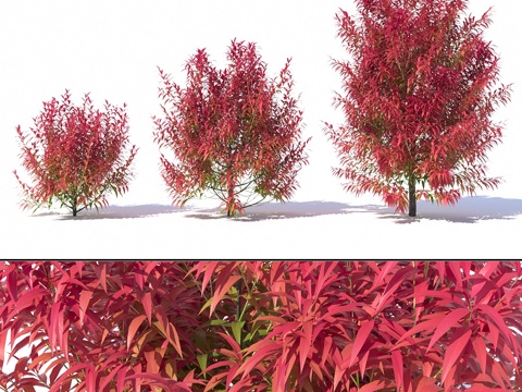  烈焰滚滚3d模型 