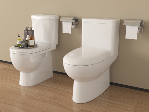  现代马桶 立式马桶 卫浴小件3d模型 