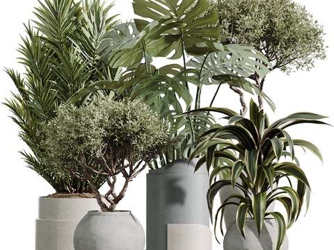  新中式侘寂绿植盆栽3d模型 