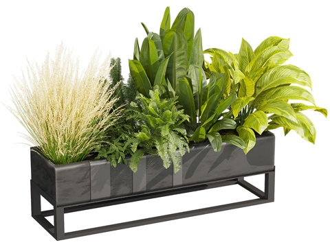  现代植物箱 蕨类3d模型 